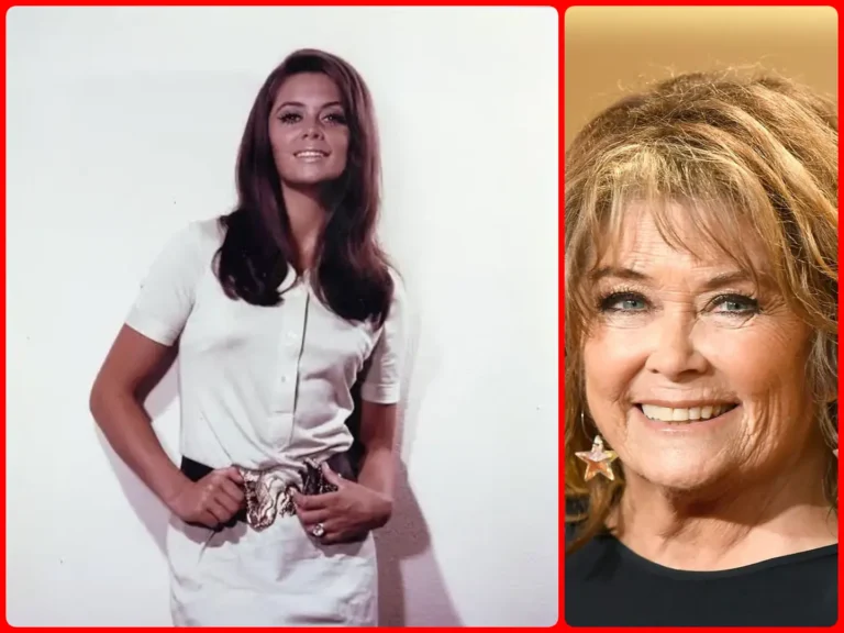 Wencke Myhre Ehepartner: Ein Blick auf Liebe, Ehen und Familie wencke myhre ehepartner